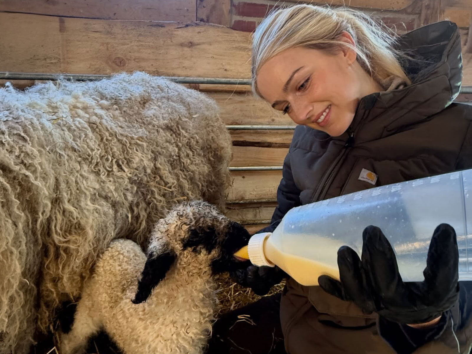 Marie Hoffmann – Moderne Landwirtschaft Risto Vending GmbH