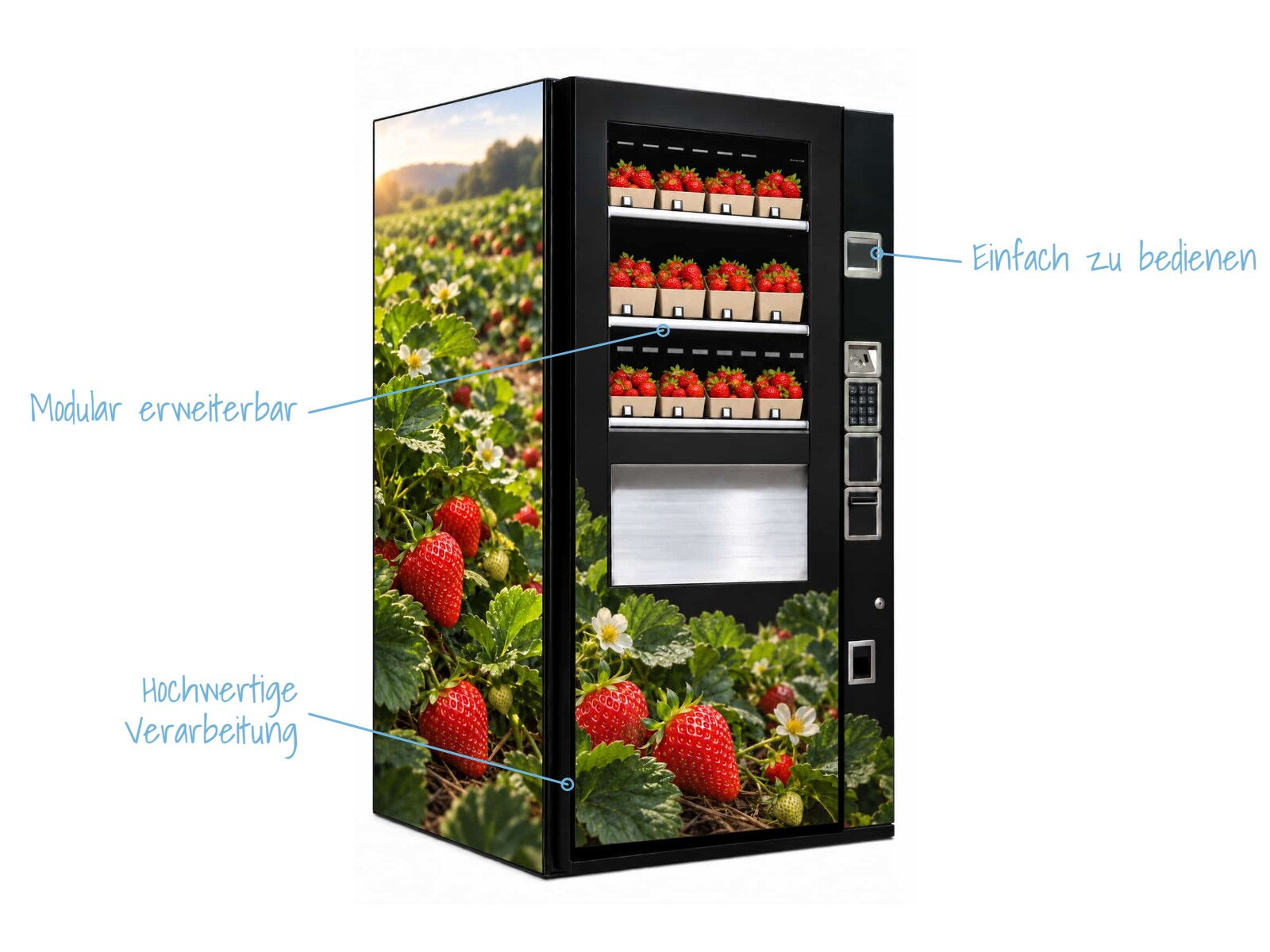 Erdbeerautomat mit Erdbeerfeld-Motiv und Hinweisen zu Bedienung, Modularität und Verarbeitung